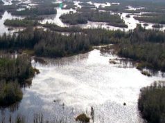 उत्थान: दलदल को बचाएं