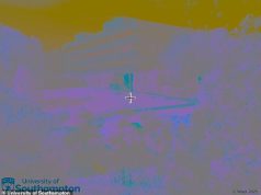 आप क्या देखते हैं? दिमाग चकरा देने वाला ऑप्टिकल भ्रम आपके मस्तिष्क को काले और सफेद चित्रों को चमकीले रंग में देखने के लिए प्रेरित करता है