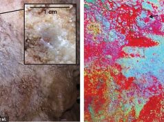 64,000 साल पुरानी गुफा कला की खोज वैज्ञानिकों को मानव उत्पत्ति पर पुनर्विचार करने के लिए मजबूर करती है