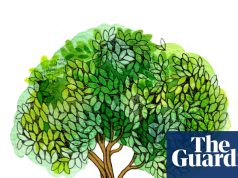 कागज के लिए हम प्रतिदिन कितने पेड़ काटते हैं? बच्चों की प्रश्नोत्तरी | प्रश्नोत्तरी और सामान्य ज्ञान खेल