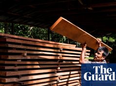 क्या लकड़ी अच्छी हो सकती है? एफएससी से एसएफआई तक हरित वानिकी मानकों का रहस्योद्घाटन | जीवन और शैली