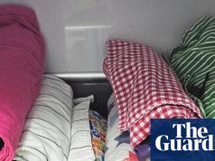 क्वींसलैंड कॉलोनी में भारी ओलावृष्टि के बाद लगभग 120 उड़ने वाली लोमड़ियों को अस्पताल में भर्ती कराया गया | वन्यजीव