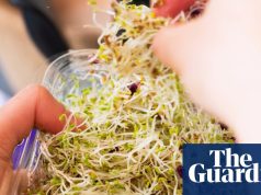 पूरे ऑस्ट्रेलिया में दर्जनों लोगों के संक्रमित होने के बाद साल्मोनेला के ‘असामान्य स्ट्रेन’ से जुड़े अल्फाल्फा स्प्राउट्स को देश भर में वापस बुलाया गया | स्वास्थ्य