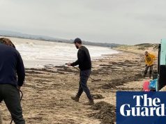 कैम्बर सैंड्स पर लाखों प्लास्टिक मोतियों के बह जाने से ‘पर्यावरणीय तबाही’ की आशंका | ईस्ट ससेक्स