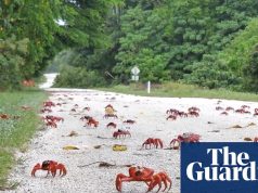 रक्षा समझौते पर हस्ताक्षर करने के बाद Google छोटी ऑस्ट्रेलियाई हिंद महासागर चौकी पर नया AI डेटासेंटर बनाएगा | ऑस्ट्रेलियाई सेना