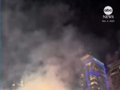 देखें: एलए डोजर्स के प्रशंसक विश्व सीरीज जीत का जश्न मनाने के लिए सड़कों पर उतरे