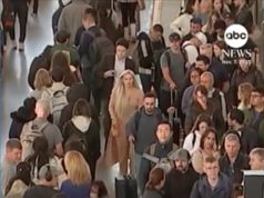 शटडाउन से संबंधित एफएए कटौती के बीच वीडियो एयरलाइंस ने सैकड़ों उड़ानें रद्द कर दीं