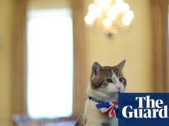 चूहों से अमीर बनने की कहानी: डाउनिंग स्ट्रीट बिल्ली लैरी को टीवी की सुर्खियों में जगह मिली | राजनीति