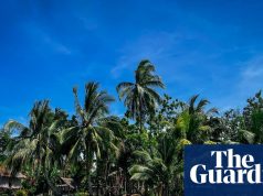 ‘बातचीत लंबी और कार्रवाई कम’: पापुआ न्यू गिनी के नेता ने ब्राजील बैठक से पहले पुलिस जलवायु शिखर सम्मेलन की आलोचना की | प्रशांत द्वीप