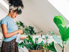 विशेषज्ञ ने बताया कि खुशहाली को बढ़ावा देने के लिए हर घर में पांच पौधे होने चाहिए