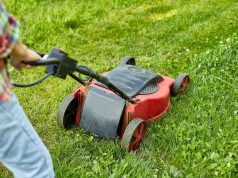 मोंटी डॉन ने बताया कि एक साधारण कार्य से लॉन की ठीक से कटाई कैसे की जाए