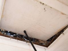 चकित जोड़े को नए घर की अटारी में दर्जनों वस्तुएं मिलीं | अजीब | समाचार