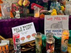 सैन फ़्रांसिस्को ने प्रतिष्ठित बोदेगा बिल्ली के वेमो द्वारा मारे जाने पर शोक व्यक्त किया