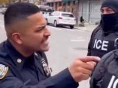 फ़ॉक्स न्यूज़ एआई फ़ेक के चक्कर में पड़ गया। क्या एक एआई विशेषज्ञ भी किसी के प्यार में पड़ गया?