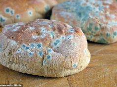 टॉक्सिकोलॉजिस्ट ने उन खाद्य पदार्थों के नाम बताए हैं जिन्हें आपको फफूंदी लगने पर कभी नहीं खाना चाहिए: इससे अंग क्षति या कैंसर हो सकता है