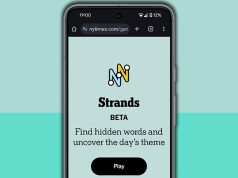 सोमवार, 10 नवंबर के लिए एनवाईटी स्ट्रैंड्स संकेत और उत्तर (गेम #617)