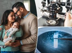 यह एआई-संचालित उपकरण 90% मामलों में आईवीएफ की सफलता की भविष्यवाणी करता है