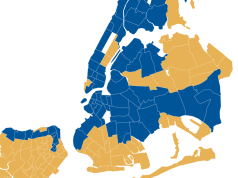 NYC के प्रत्येक पड़ोस ने मेयर पद की दौड़ में कैसे मतदान किया