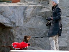 टॉम ब्रैडी का कहना है कि उन्होंने अपने कुत्ते का क्लोन बनाया है